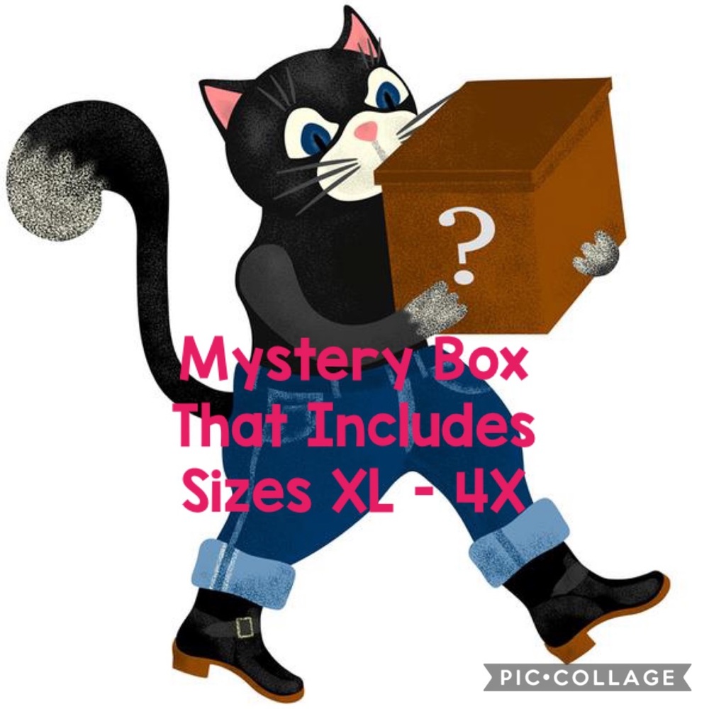 Mixed “Plus Size” Mystery Box *Price Is Firm*